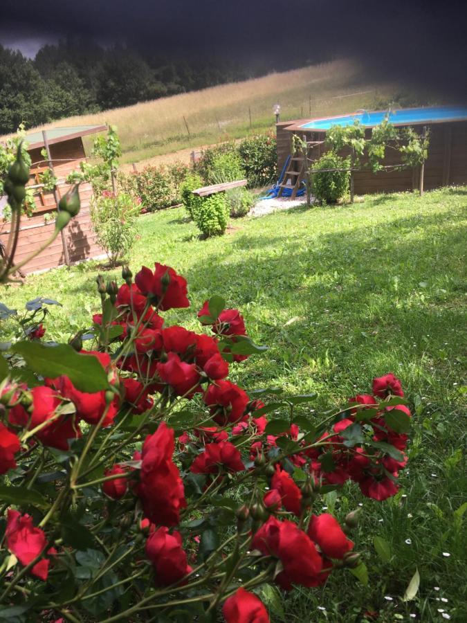 Il Mugello B&B Vicchio Exterior photo