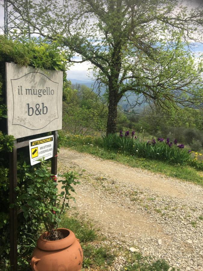 Il Mugello B&B Vicchio Exterior photo