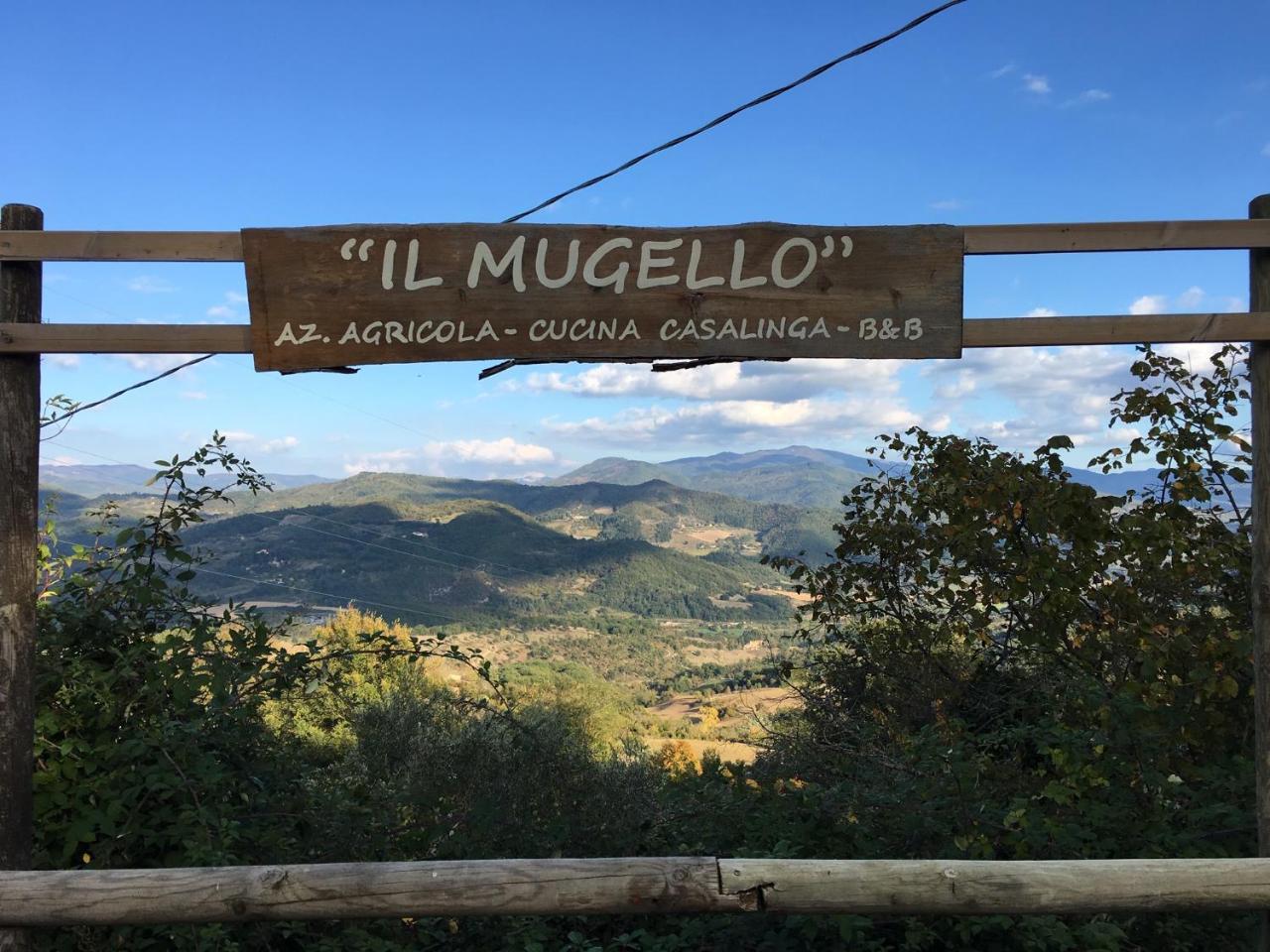 Il Mugello B&B Vicchio Exterior photo