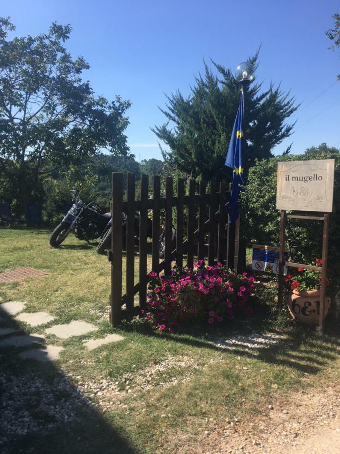 Il Mugello B&B Vicchio Exterior photo